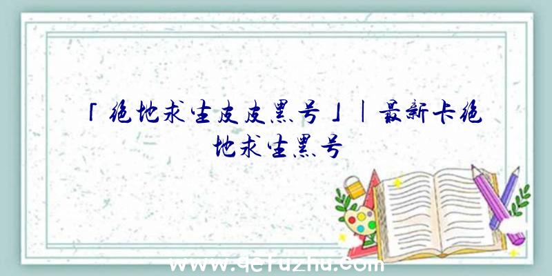 「绝地求生皮皮黑号」|最新卡绝地求生黑号